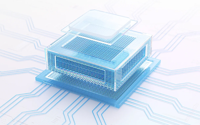 國(guó)產(chǎn)芯硬核實(shí)力！D2000飛騰主板賦能更廣泛